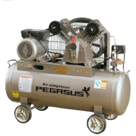 Máy nén khí dây đai Pegasus TM-V-0.17/8-100L
