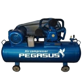 Máy nén khí dây đai Pegasus TM-W-0.36/8-180L