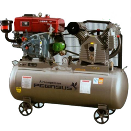 Máy nén khí chạy dầu Pegasus TM-W-1.0/8-330L