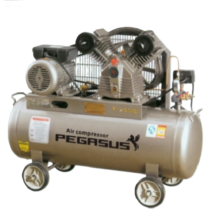 Máy nén khí dây đai Pegasus TM-V-0.17/8-100L hinh anh 1