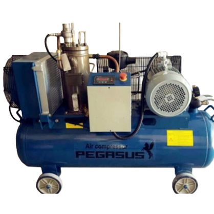 Máy nén khí trục vít Pegasus TMTV-7,5A  hinh anh 1